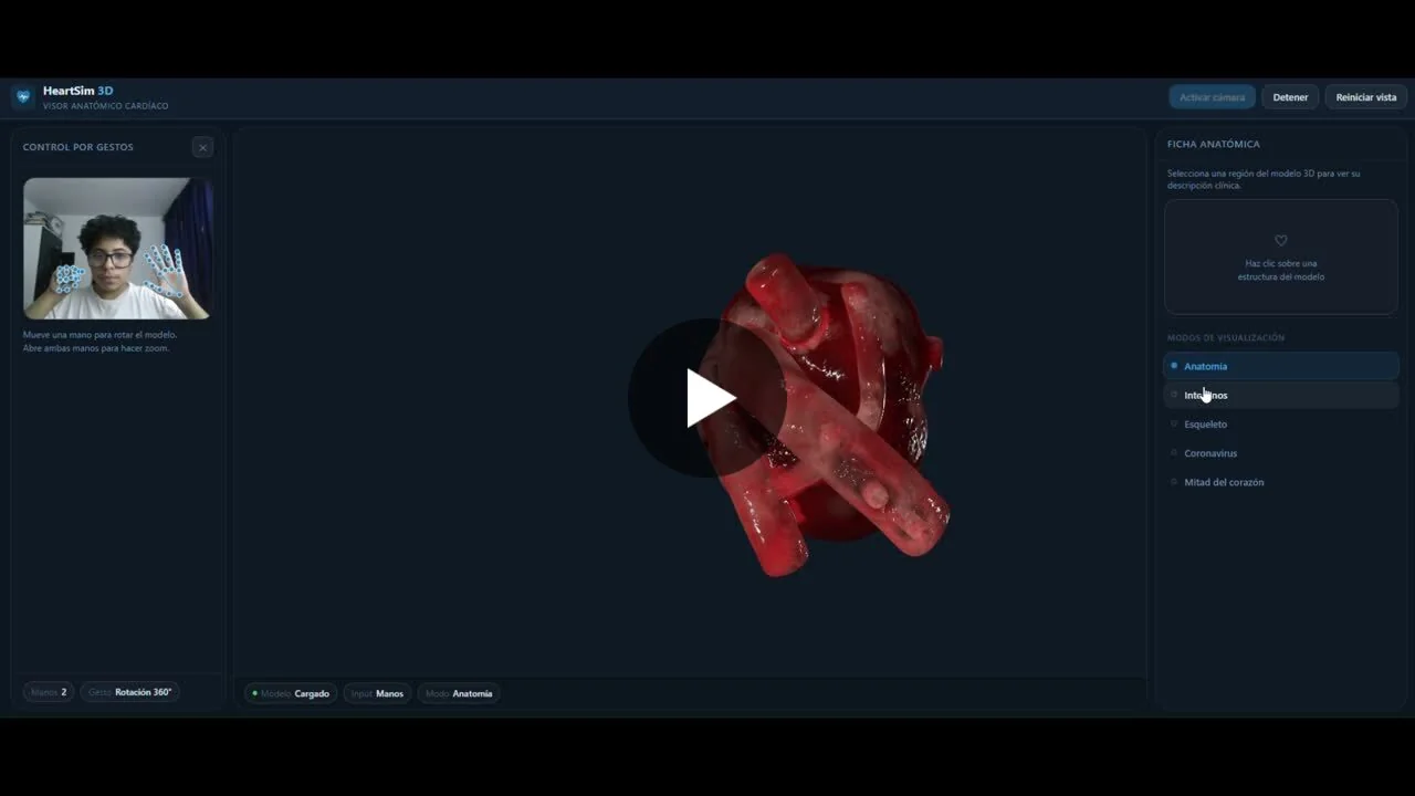 Fotograma real del video HeartSim 3D publicado por Michelle en LinkedIn